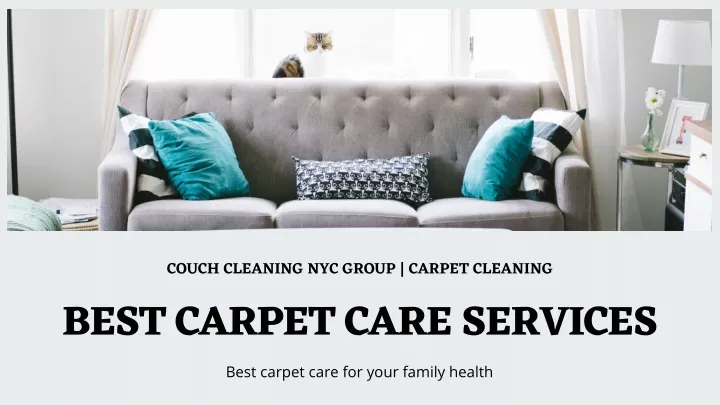 couch cleaning nyc group carpet cleaning