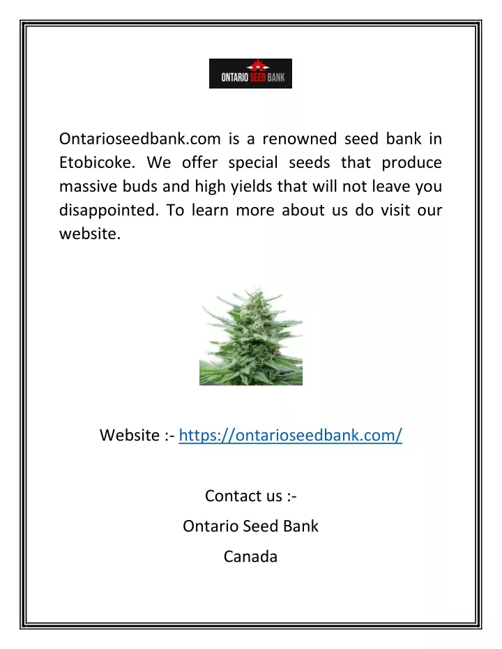 ontarioseedbank com is a renowned seed bank