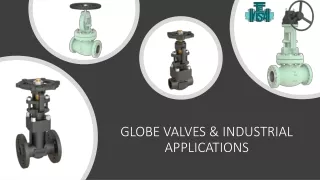 globe valves industrial applications