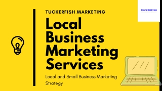 Online Local Business Marketing