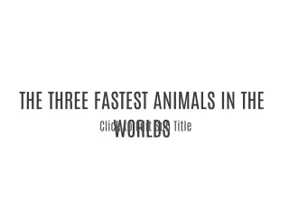 Fastest animal in the world
