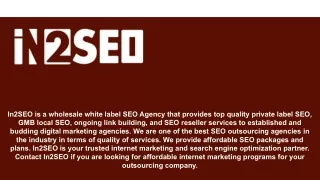 in2seo is a wholesale white label seo agency that