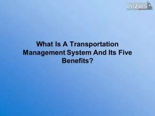 what is a transportation management system