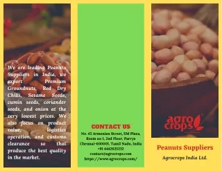 we are leading peanuts suppliers in india