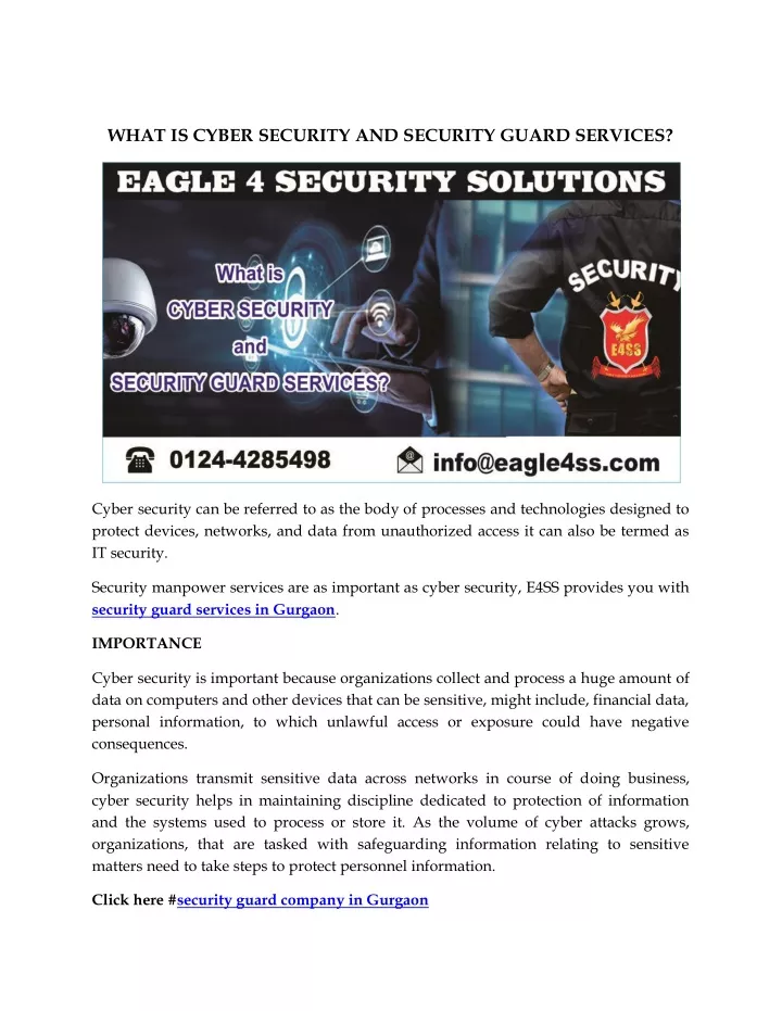 what is cyber security and security guard services