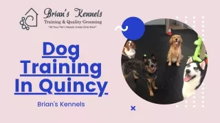 Dog Training In Quincy- Brians Kennels