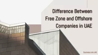 What is the Difference Between Free Zone and Offshore Companies in UAE