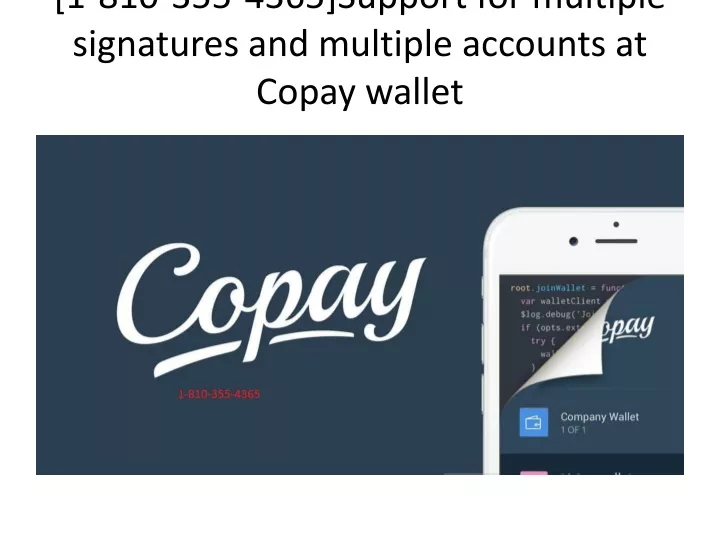 1 810 355 4365 support for multiple signatures and multiple accounts at copay wallet