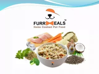 Healthy Dog Food supplier in Delhi |furrmeals