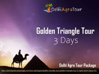 golden triangle tour