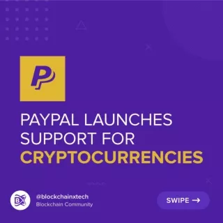 USA Paypal Launches Support for Cryptocurrencies