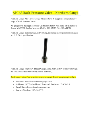 api 6a back pressure valve northern gauge
