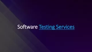 software software testing services testing
