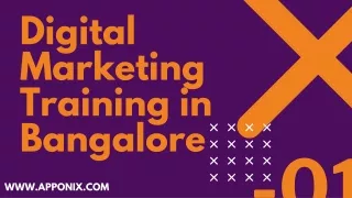 Digital Marketing Courses in Bangalore with Placement