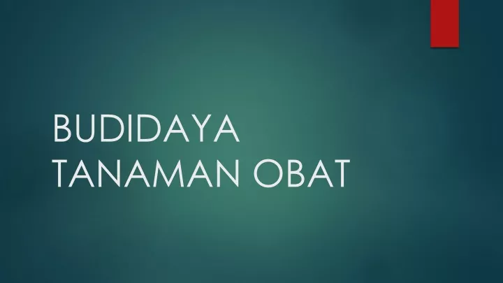 budidaya tanaman obat