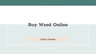 Buy Weed Online - Carly’s Garden