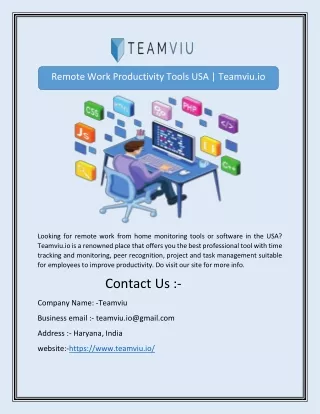 Remote Work Productivity Tools USA | Teamviu.io