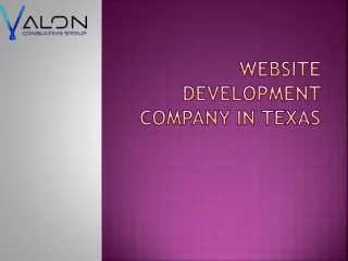 website development company in texas