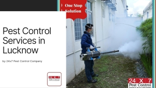 Cockroach Control Services in Lucknow by 24x7 Pest Control Company