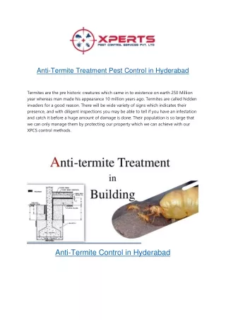 Anti Termite Pest Control Treatment in Hyderabad - Xperts Pest Control