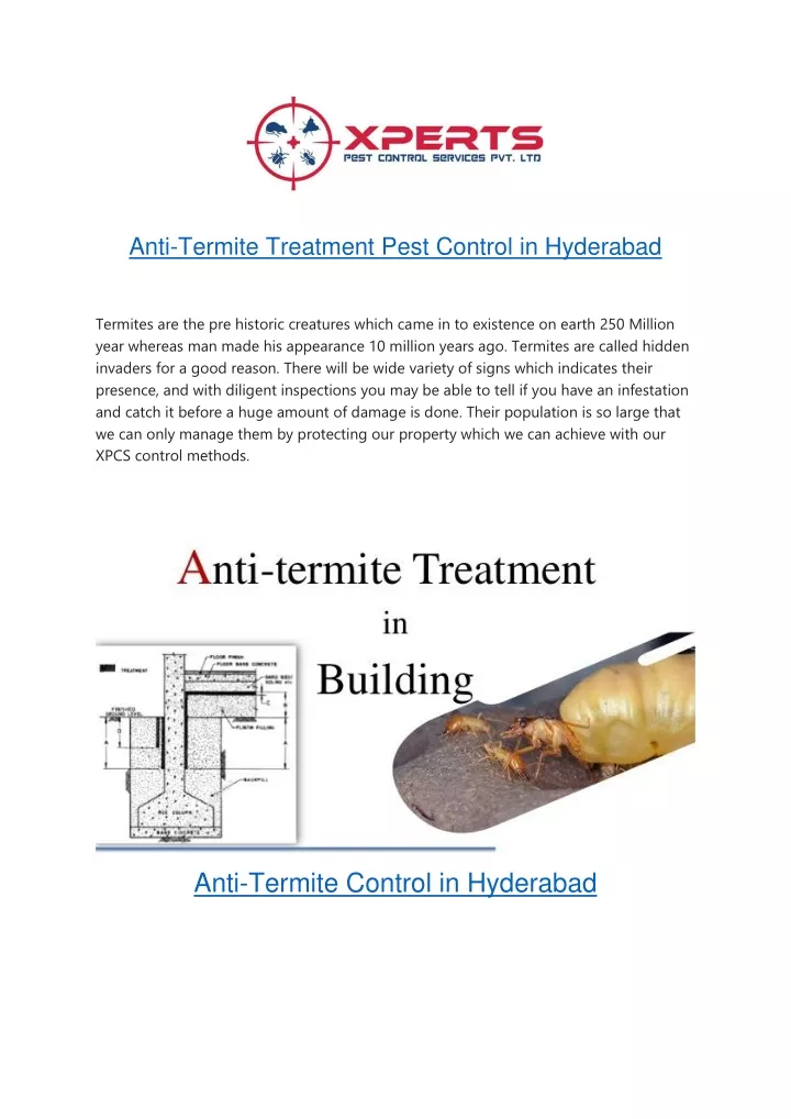 anti termite treatment pest control in hyderabad