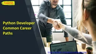 Python developer common career paths