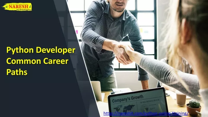 python developer common career paths