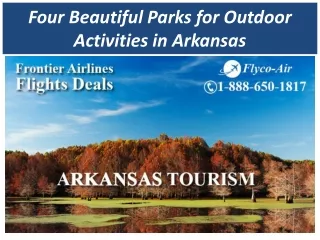 Four Beautiful Parks for Outdoor Activities in Arkansas