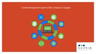 content management system cms company in gurgaon