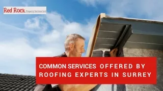 Common Services Offered By Roofing Experts In Surrey