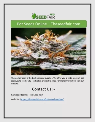 Pot Seeds Online | Theseedfair.com