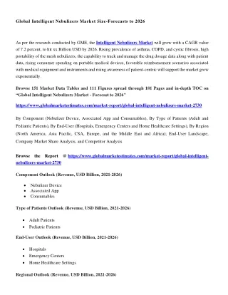 global intelligent nebulizers market size