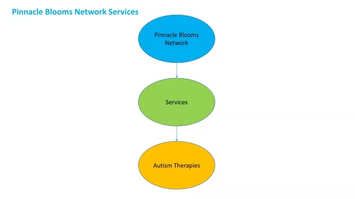 pinnacle blooms network services