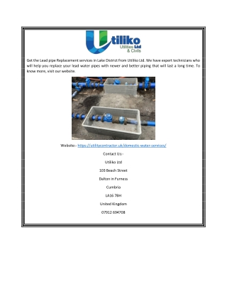 get the lead pipe replacement services in lake