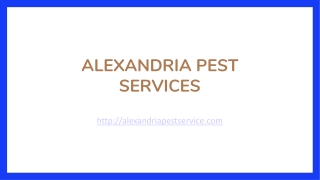 Alexandria Pest Services
