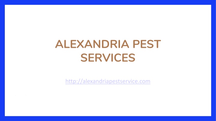 alexandria pest services