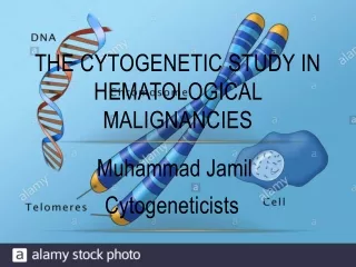 Cytogenetic study in hematological malignancies