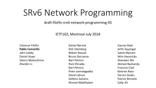 srv6 network programming