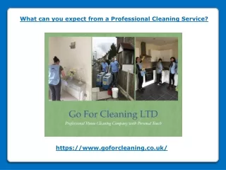 what can you expect from a professional cleaning
