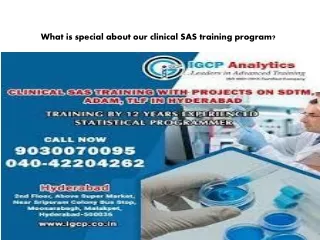 What is special about our clinical sas training program?