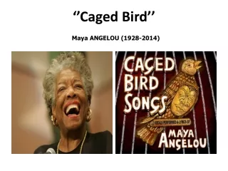 caged b ird