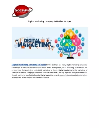 Digital marketing company in Noida - Sociapa