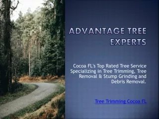 advantage tree experts
