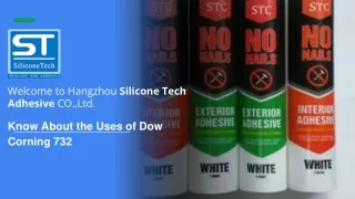 welcome to hangzhou silicone tech adhesive
