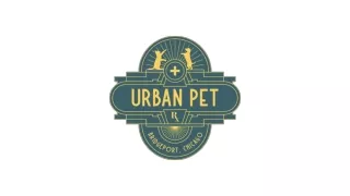 Modern Pet Surgery At Urban PetRx
