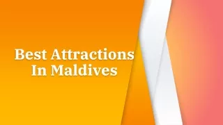 Best Attractions In Maldives