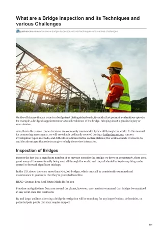 what are a bridge inspection and its techniques