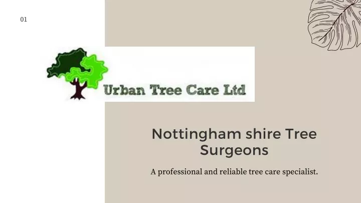 nottingham shire tree surgeons