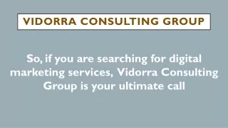 vidorra consulting group