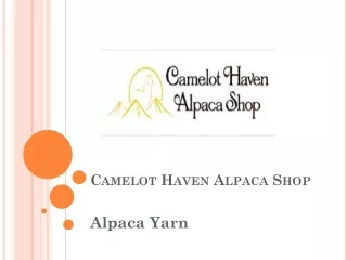 camelot haven alpaca shop